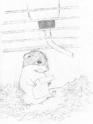 [Picture of dwarf hamster Mathematician: 16K JPEG]